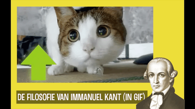 Immanuel Kant in gif